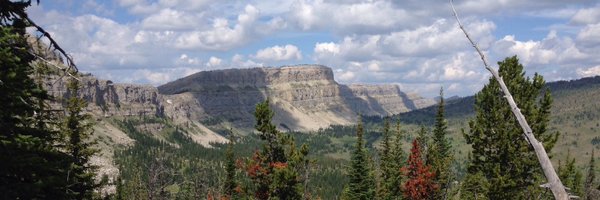 KanShoReynolds Profile Banner