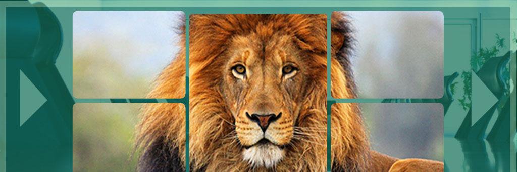 Marufcit9's profile banner image