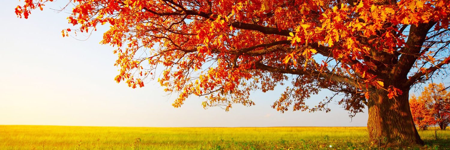 Danielle Quinney banner