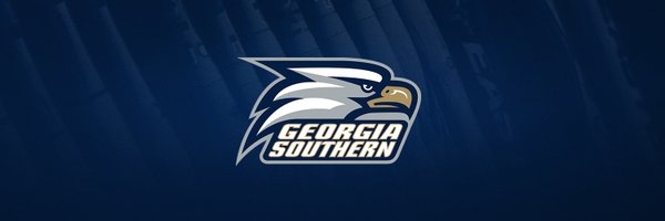 Georgia Southern Softball Profile Banner