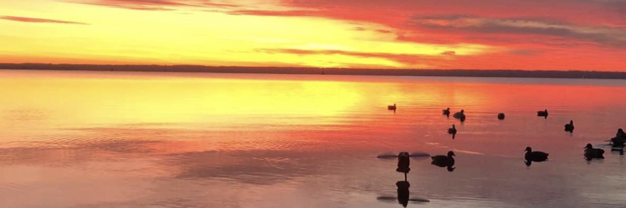 Brendyn_23's profile banner image