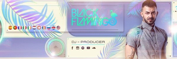 Black Flamingo★Dj Profile Banner