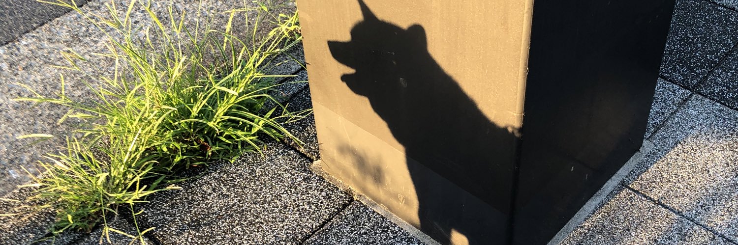 ottopan's profile banner image