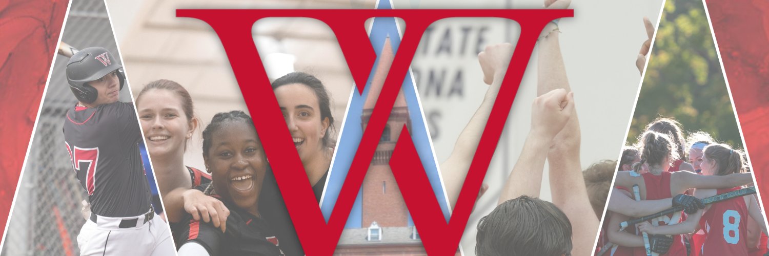 Wells College Athletics banner