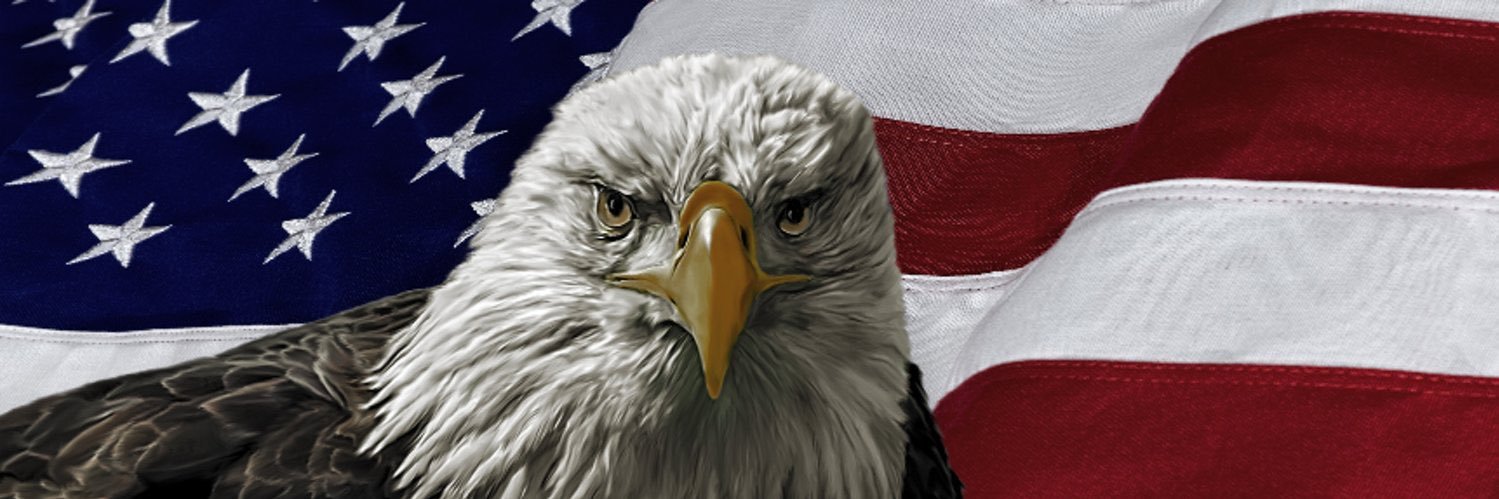 wvu185's profile banner image