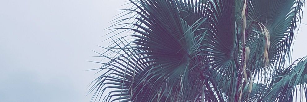 FMSA_92's profile banner image
