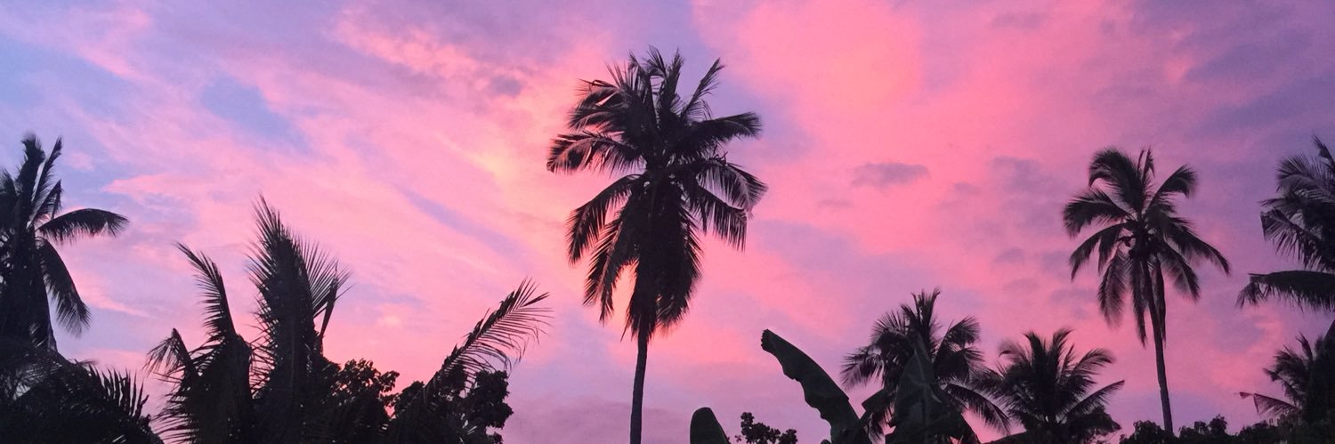 aleahkimvee's profile banner image