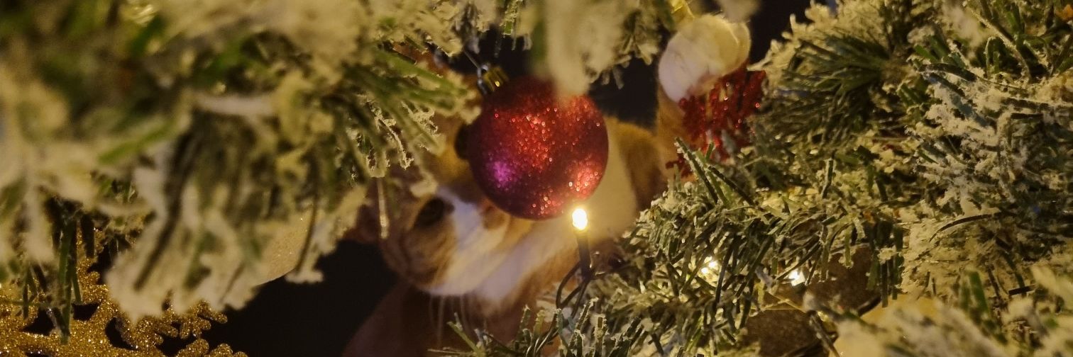 jabbamel's profile banner image