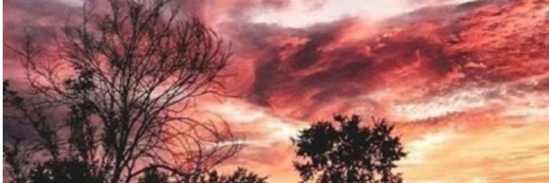 Joysehh's profile banner image