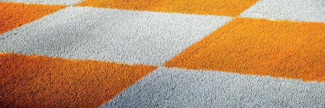 mrmax86's profile banner image