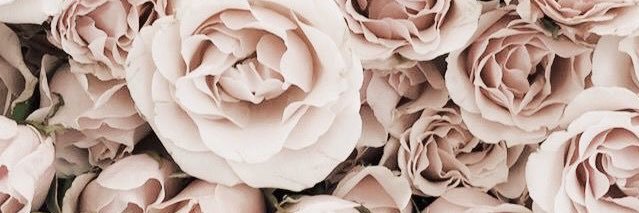 _Xo_jay's profile banner image