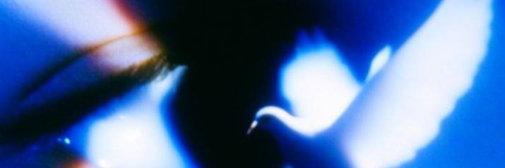 Ekaterina Sh. banner