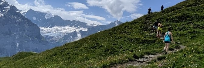 Will de Cothi banner