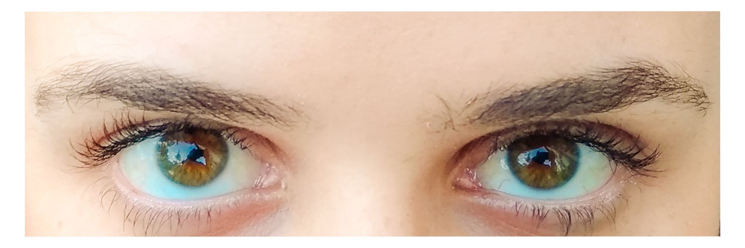 EricaCotta's profile banner image