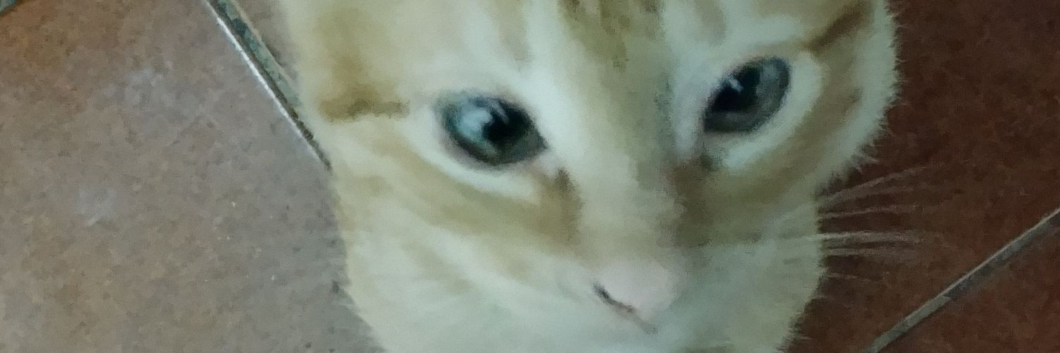 tabopc's profile banner image