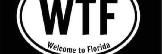 Brandon Cellura banner