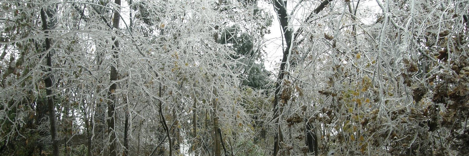 WeatherWatcher5's profile banner image
