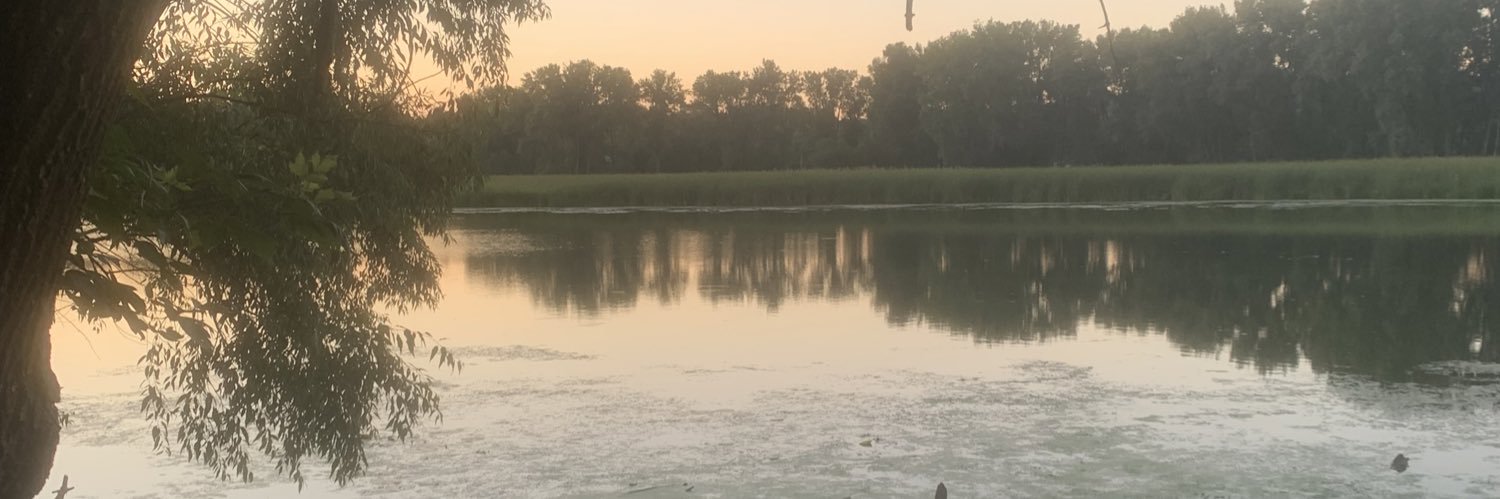 Lmerrifi's profile banner image