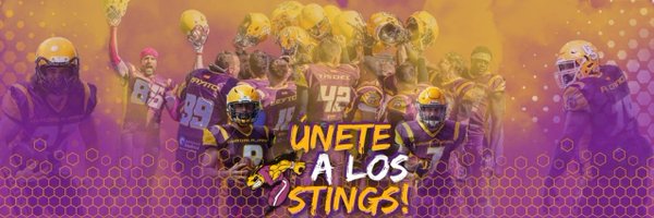 GuadaStings Profile Banner