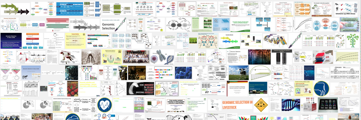 GenomicPrediction banner