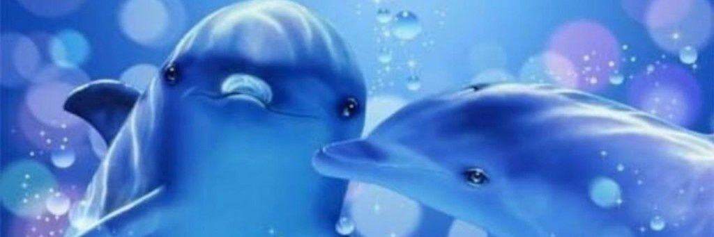 ElisabetDtr's profile banner image