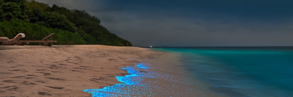 PottyPoPo banner