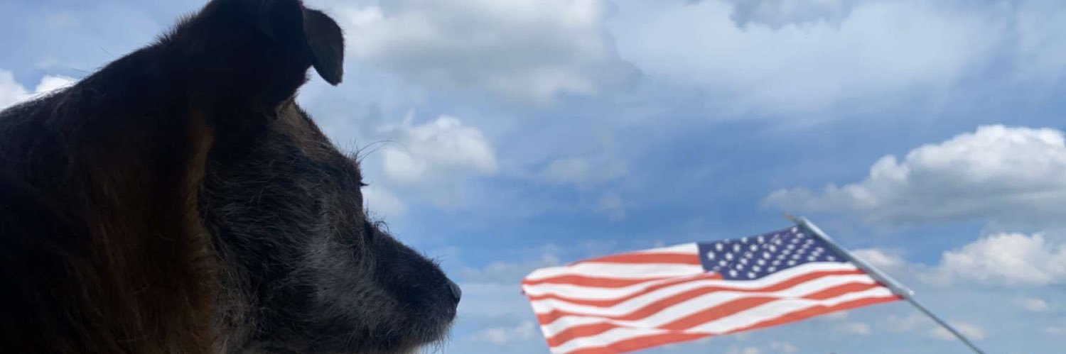 beccaleiter's profile banner image