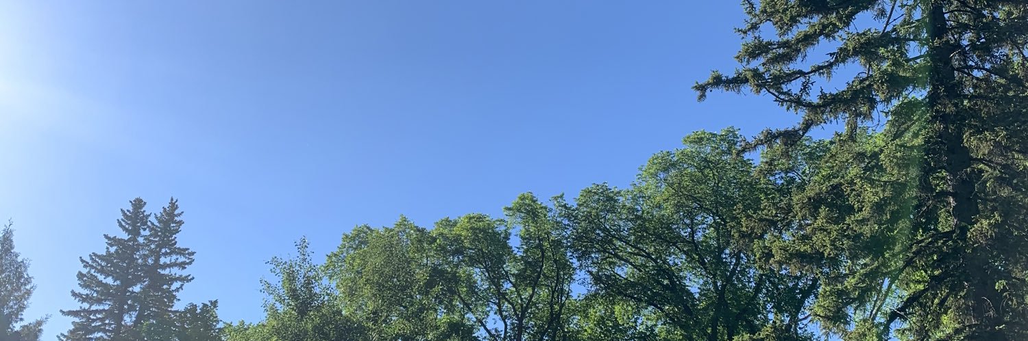 MarthaaaSantos's profile banner image