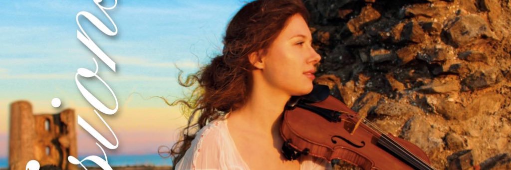 violinbow's profile banner image