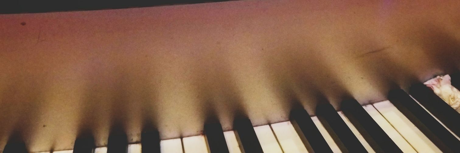 steveidlett's profile banner image
