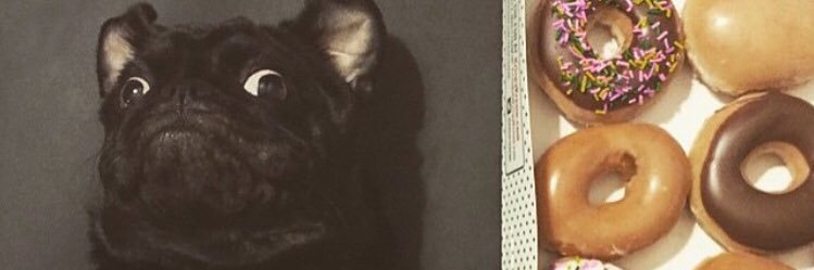 Veronika Heilbrunner banner