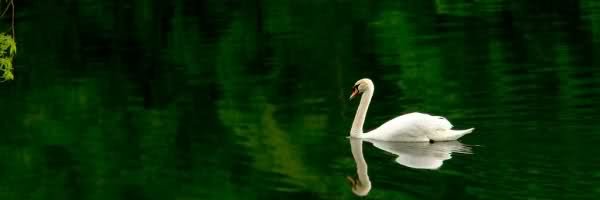 MeryemAdile's profile banner image