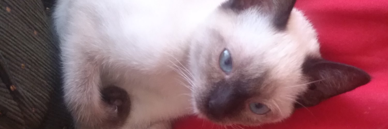 Charlie Royce banner