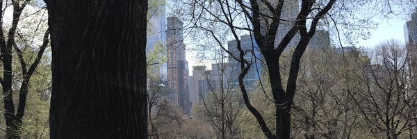 Talomo23 Profile Banner