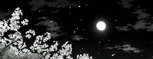 dreamnetlover's profile banner image