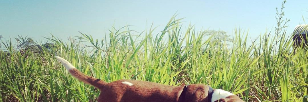 jugomega's profile banner image