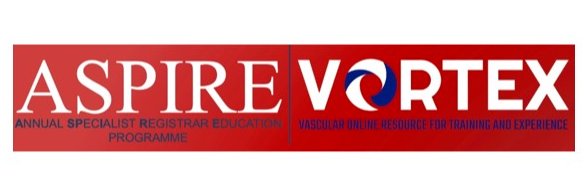 VSGBI Education And Training Committee's banner