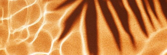 cipri_cnc93's profile banner image