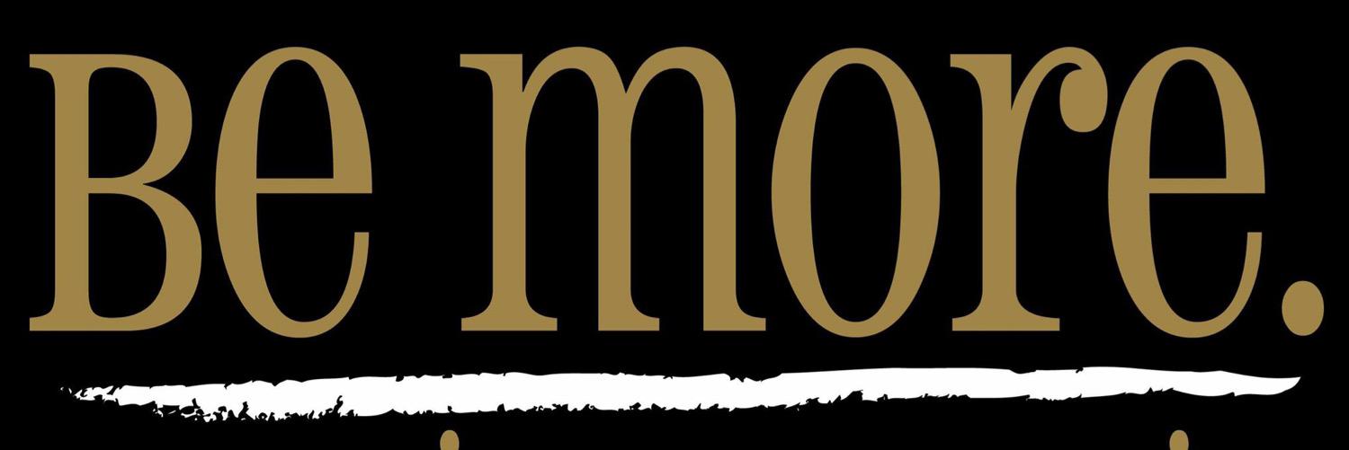 Vandy Greek Life banner