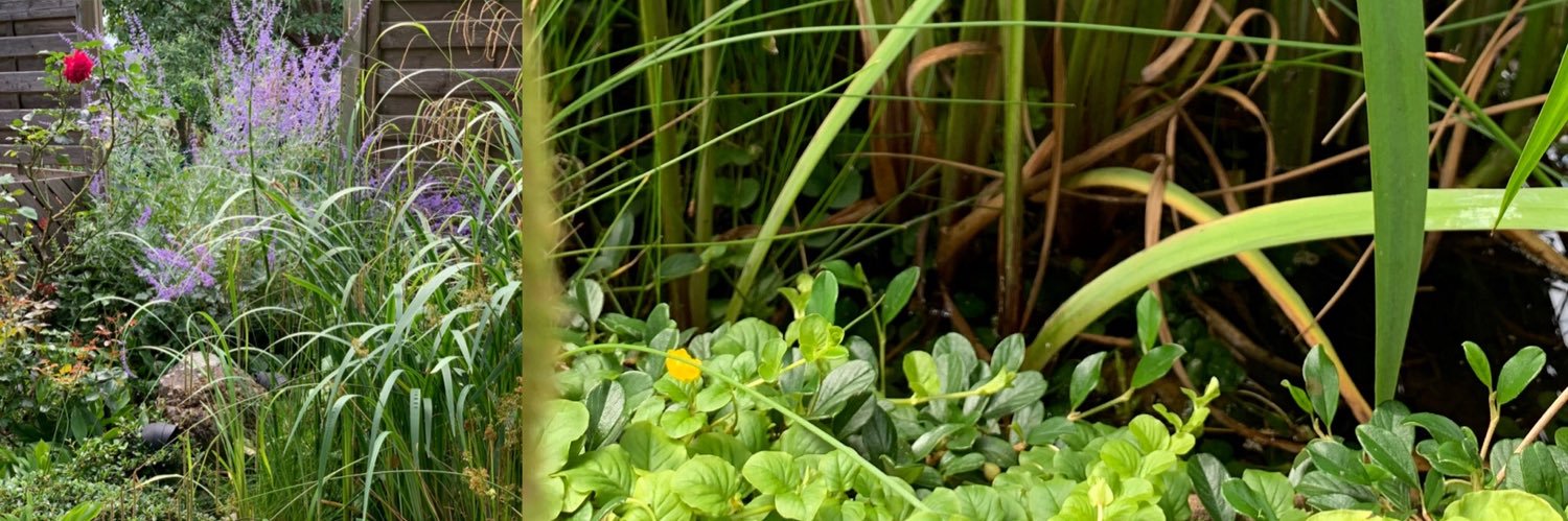 GVanLierde's profile banner image