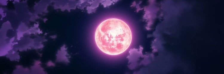 PΛPPΛMӨӨП 🌙 banner