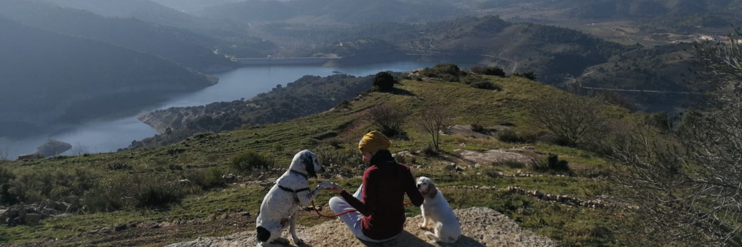 judit_cat's profile banner image