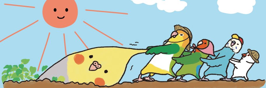 オグチヨーコ🐥 banner