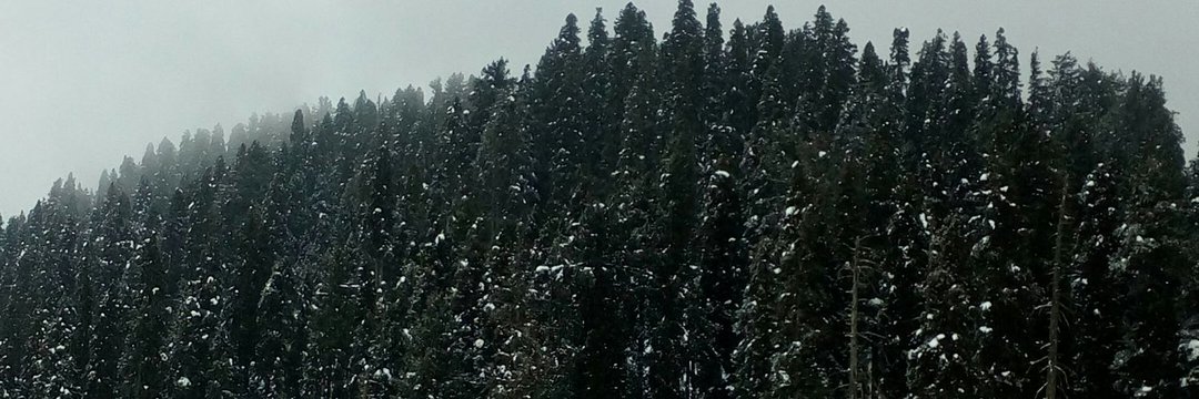 heijaab's profile banner image