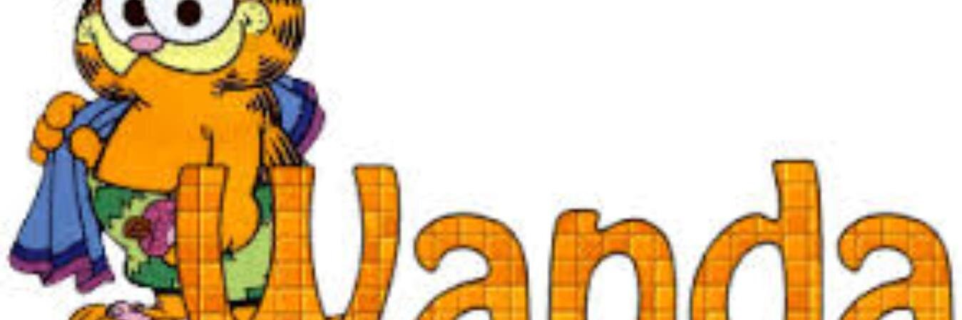 WCasisS's profile banner image