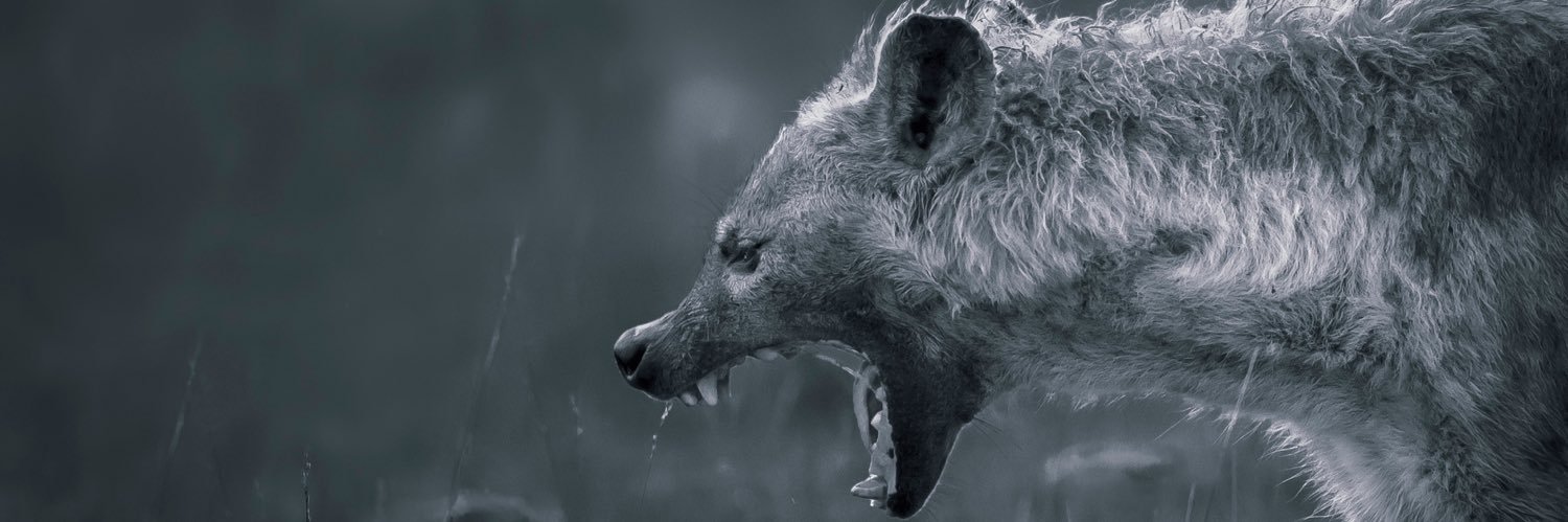 Alan02b's profile banner image