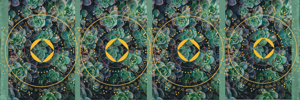 HarrisVashti Profile Banner