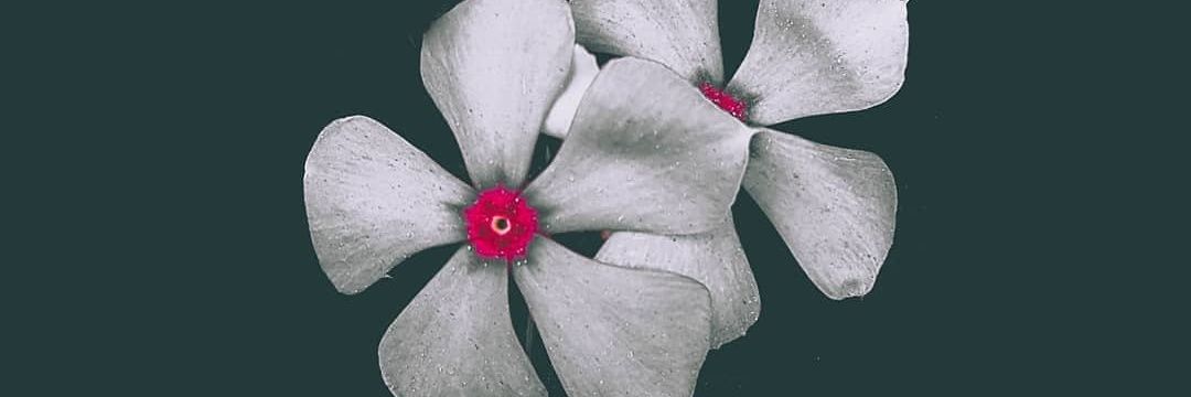 ‏دلداریاں banner