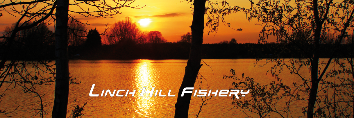 linch_hill's profile banner image