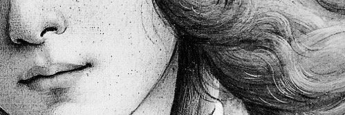 LauraMAragon's profile banner image